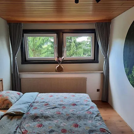 Appartement Partment Anear With Private Terrace Willingen (Upland)
