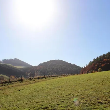 Apartment In Der Naehe Von