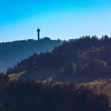 In Der Naehe Von Апартаменты Виллинген