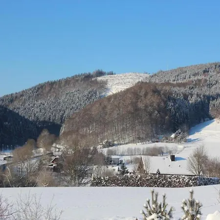 In Der Naehe Von Виллинген