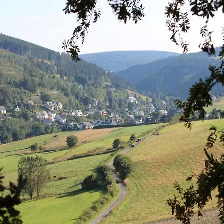 Appartamento In Der Naehe Von Willingen (Upland)