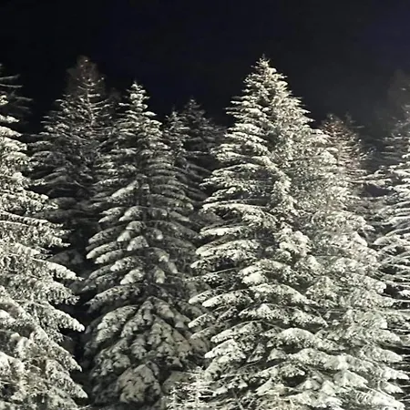 In Der Naehe Von * Виллинген