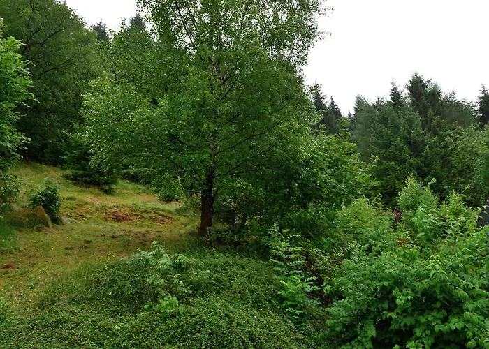 In Der Naehe Von Willingen (Upland)