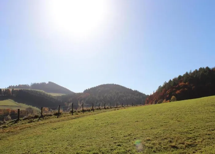 Appartement In Der Naehe Von
