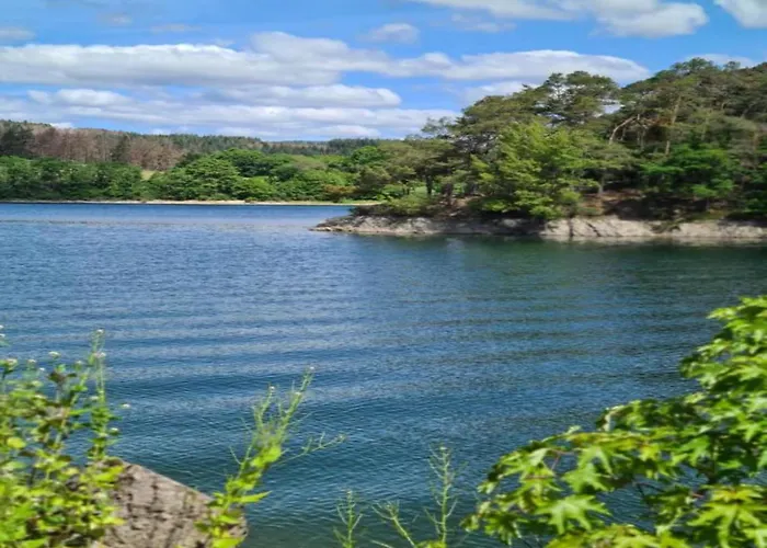 In Der Naehe Von Appartement *