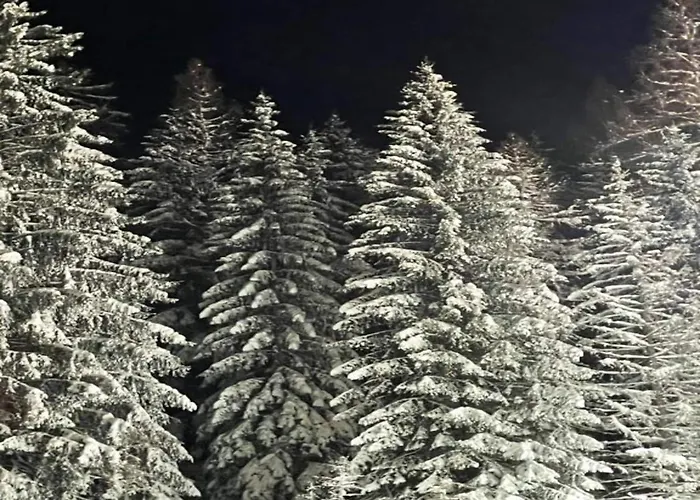 In Der Naehe Von * Willingen (Upland)